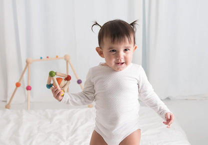 PlanToys 5244 Triangle Clutching Toy