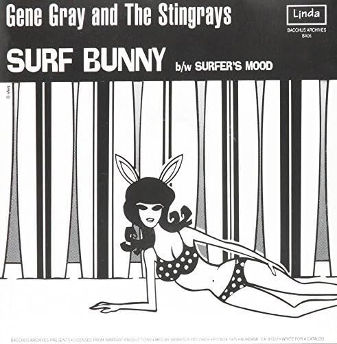 Surfer'S Mood/Surf Bunny