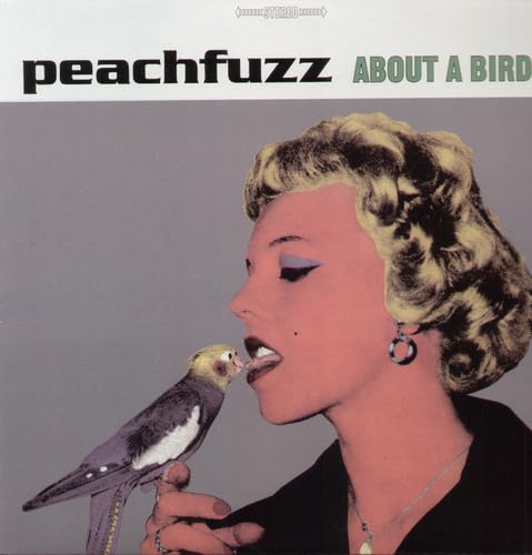 About A Bird
