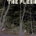 The Flesh