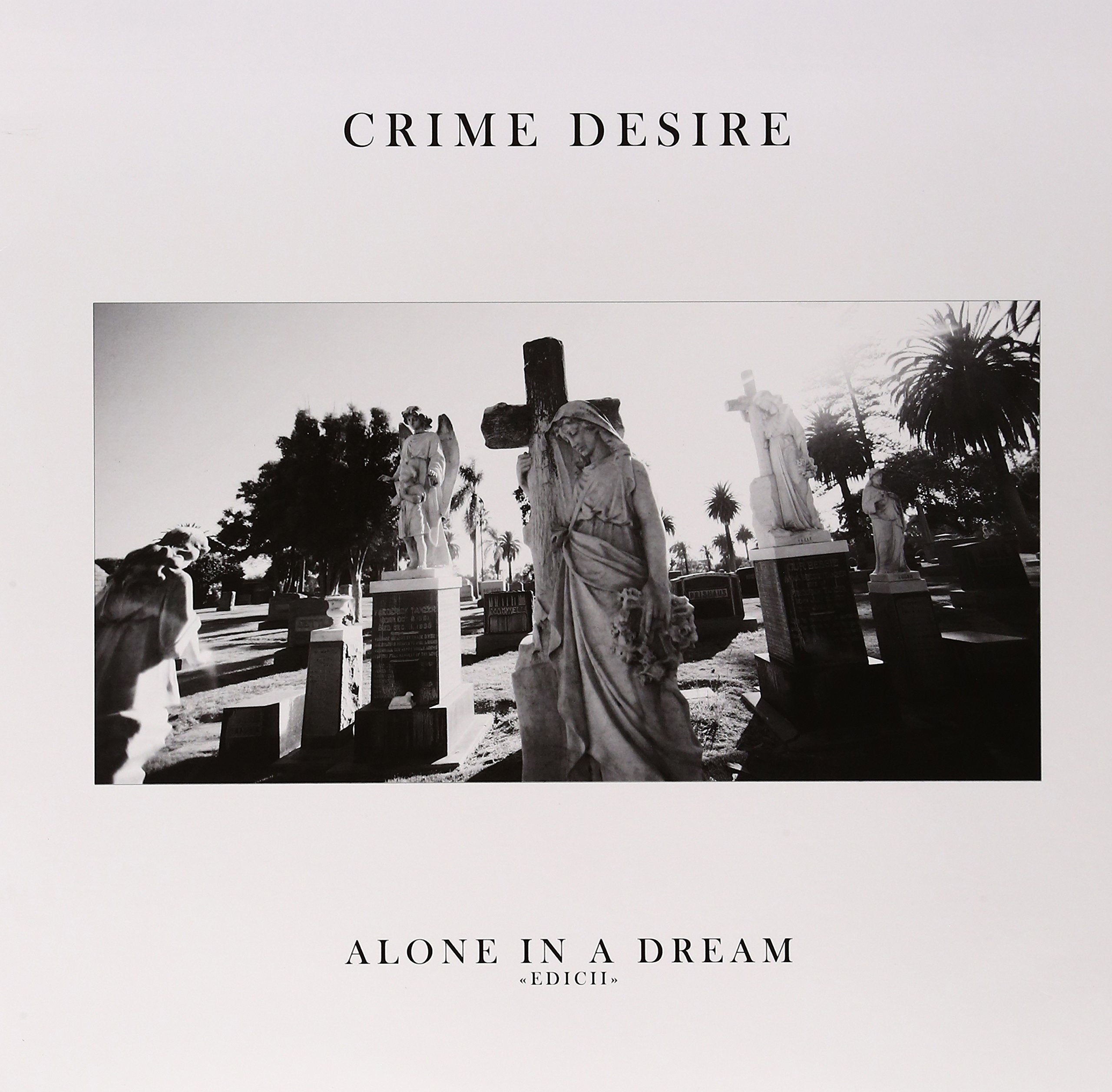 Alone In A Dream