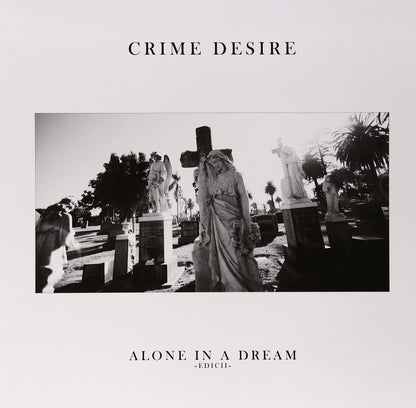 Alone In A Dream