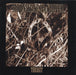 Thicket