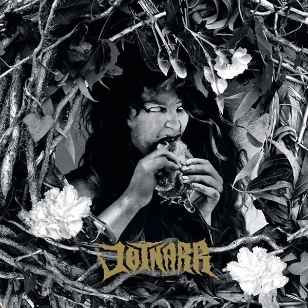 Jotnarr