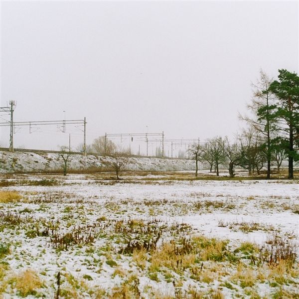 Unfinished Portraits