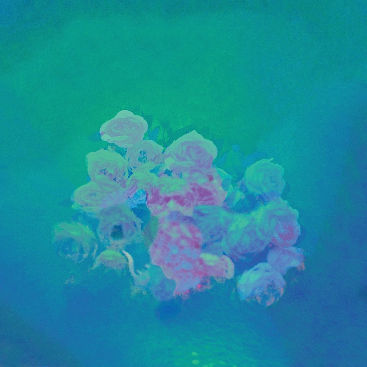 Iii
