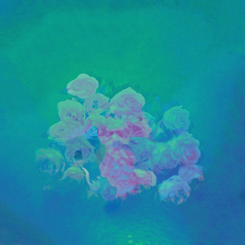 Iii