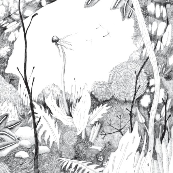 Time Whispers
