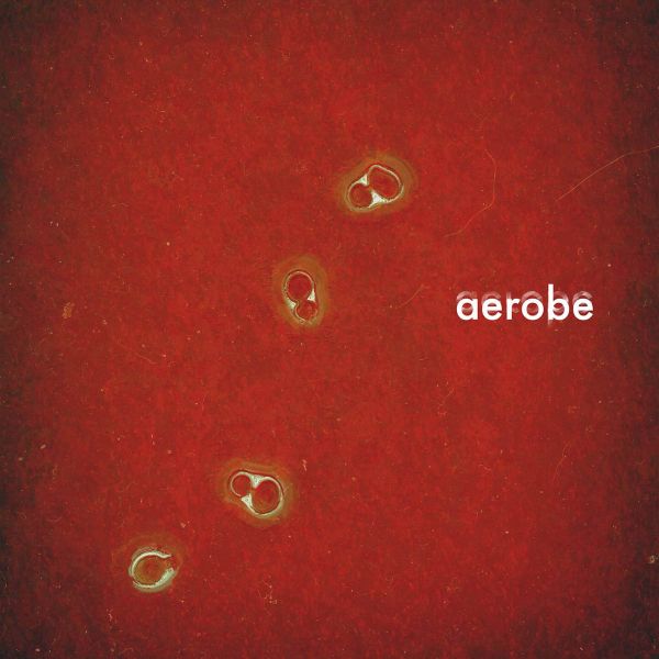 Aerobe
