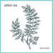 Hope And Ruin Ep