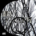 Shift (+Download