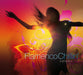 Flamenco Chillin' Vol.3