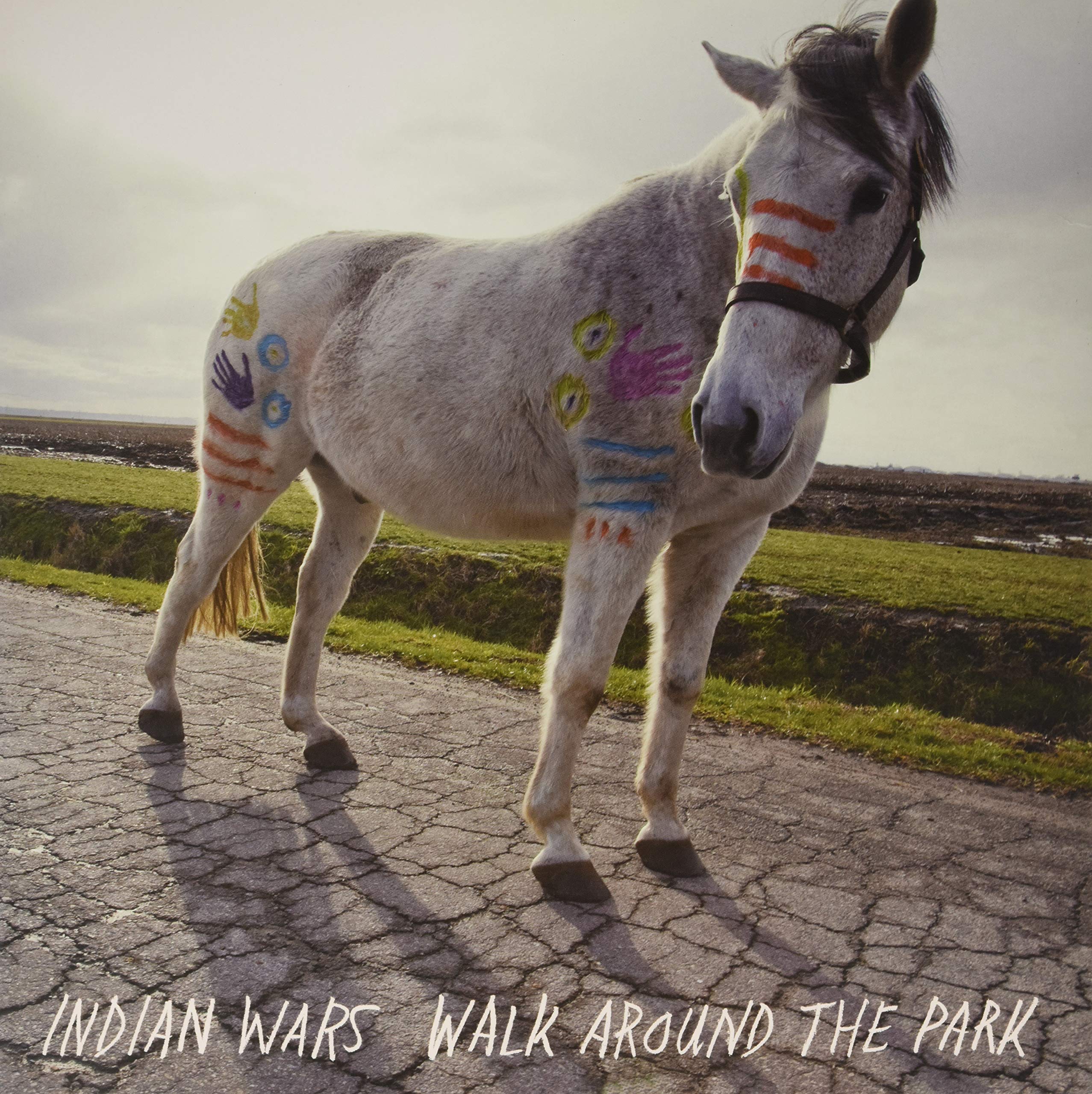 Walk Around In The Park