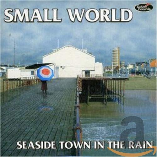 Seaside Town in the Rain