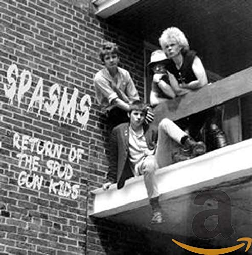 Return of the Spud Gun Kids
