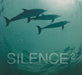 Sound Of Silence