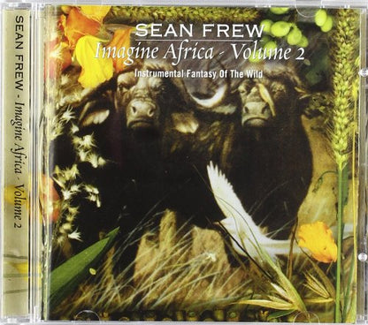 Imagine Africa - Volume 2