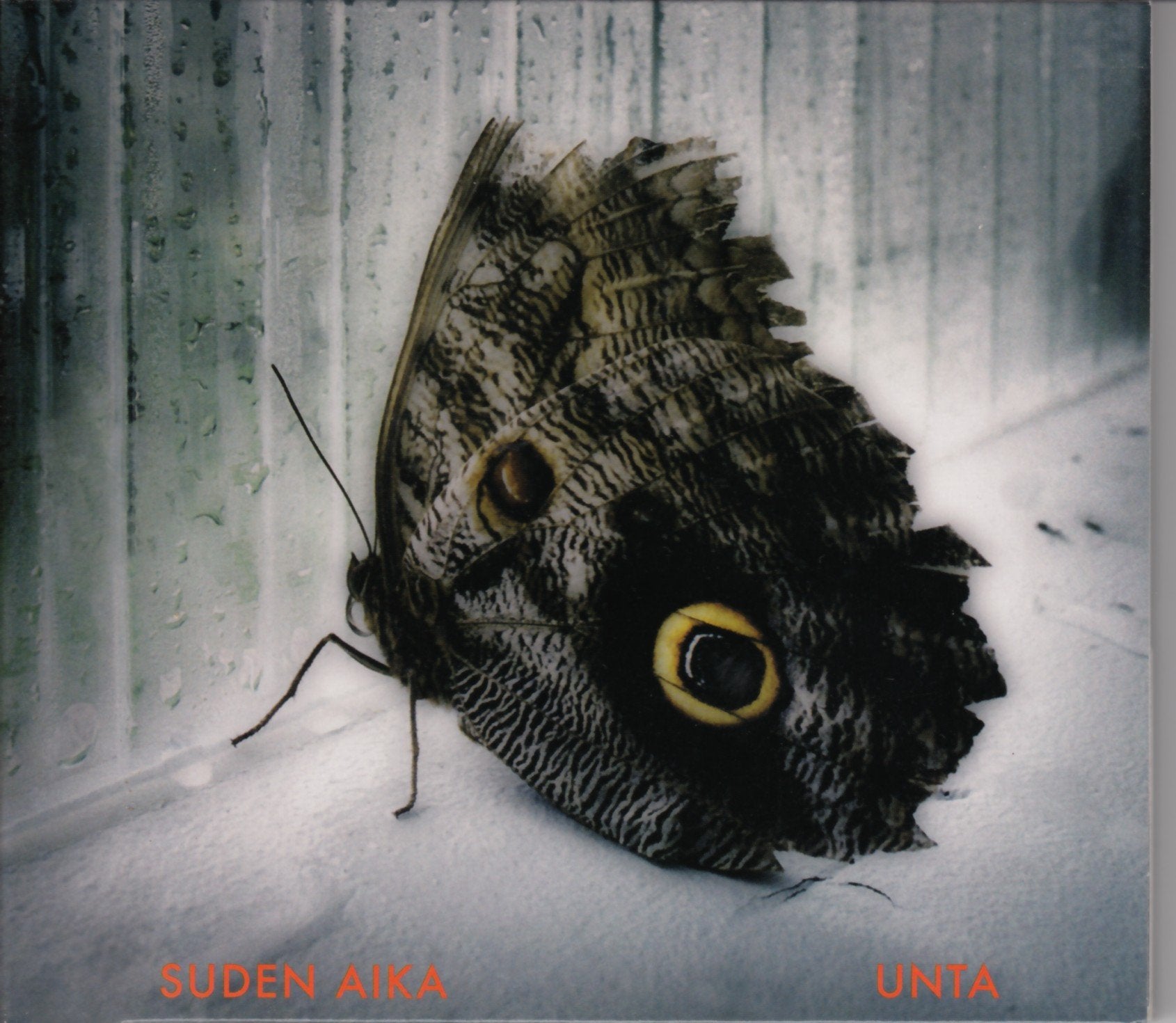 Unta