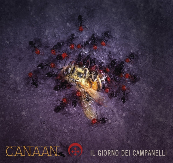 Il Giorno Dei Campanelli