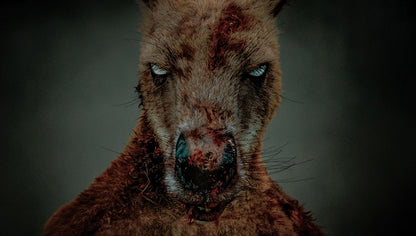 Rippy - Das Killerkänguru - 2-Disc Limited Collector's SteelBook (UHD-Blu-ray + Blu-ray