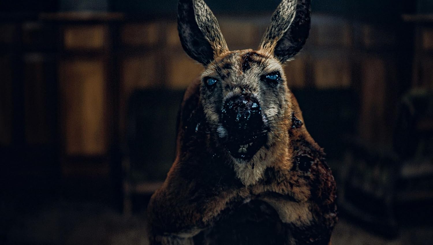 Rippy - Das Killerkänguru - 2-Disc Limited Collector's SteelBook (UHD-Blu-ray + Blu-ray