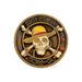 FaNaTtik One Piece Limited Edition Collectible Coin