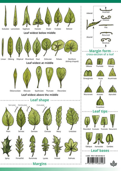 Describing Flowers