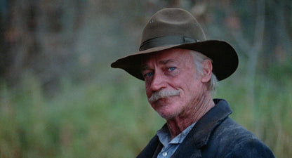The grey fox