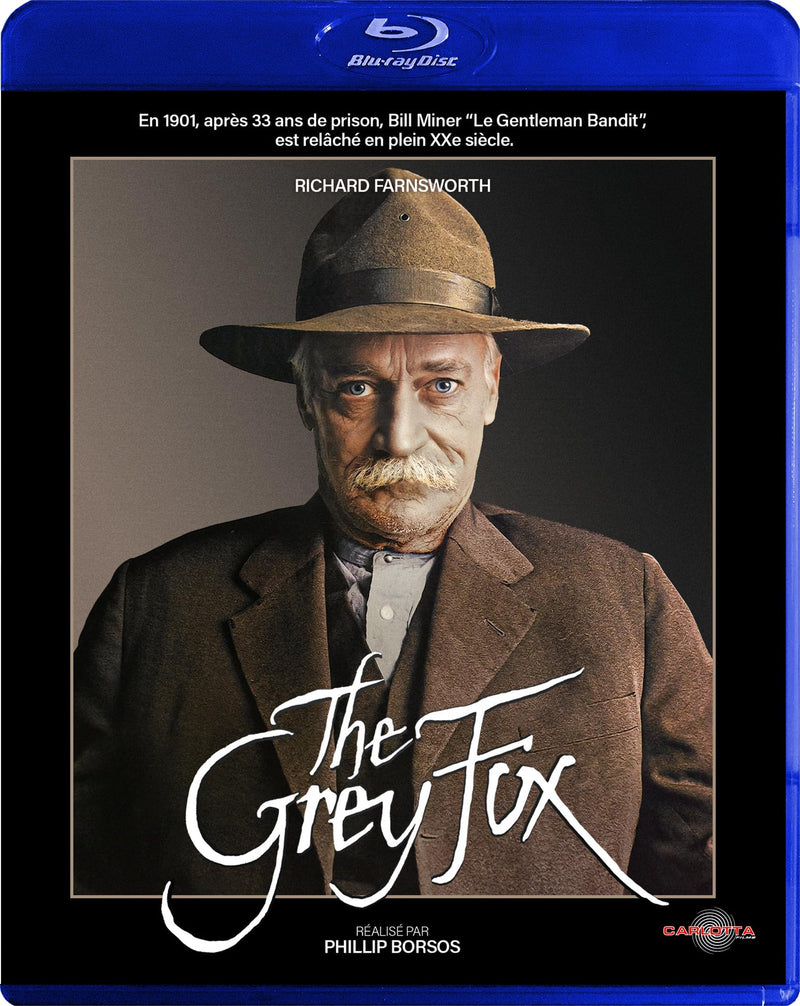 The grey fox