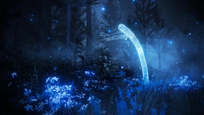 ELDEN RING SHADOW OF THE ERDTREE - COLLECTOR'S EDITION - PC