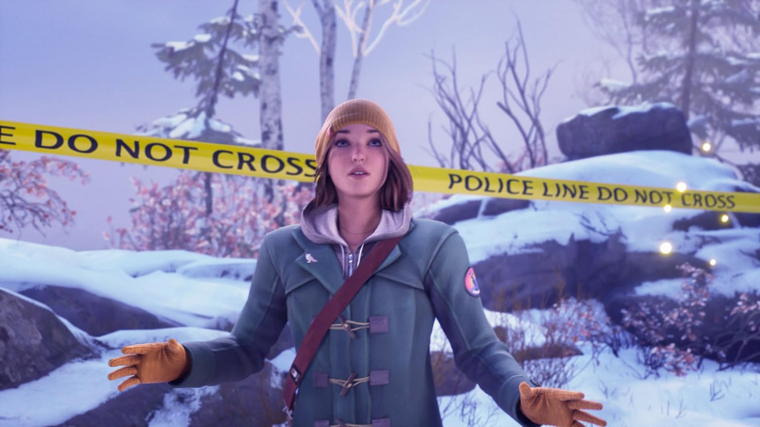 Life is Strange: Double Exposure (PlayStation 5