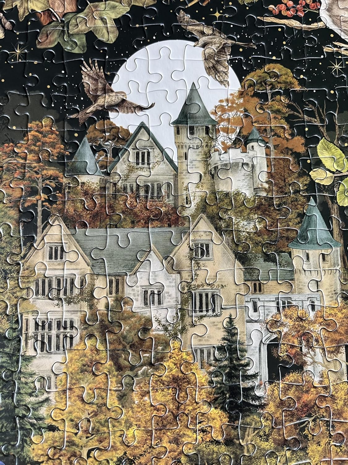 The Art File Autumn Equinox (1000)