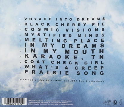 Wasted On The Dream  explicit_lyrics