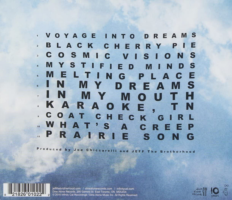 Wasted On The Dream  explicit_lyrics