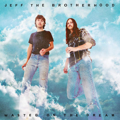 Wasted On The Dream  explicit_lyrics