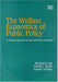 The Welfare Economics of Public Policy