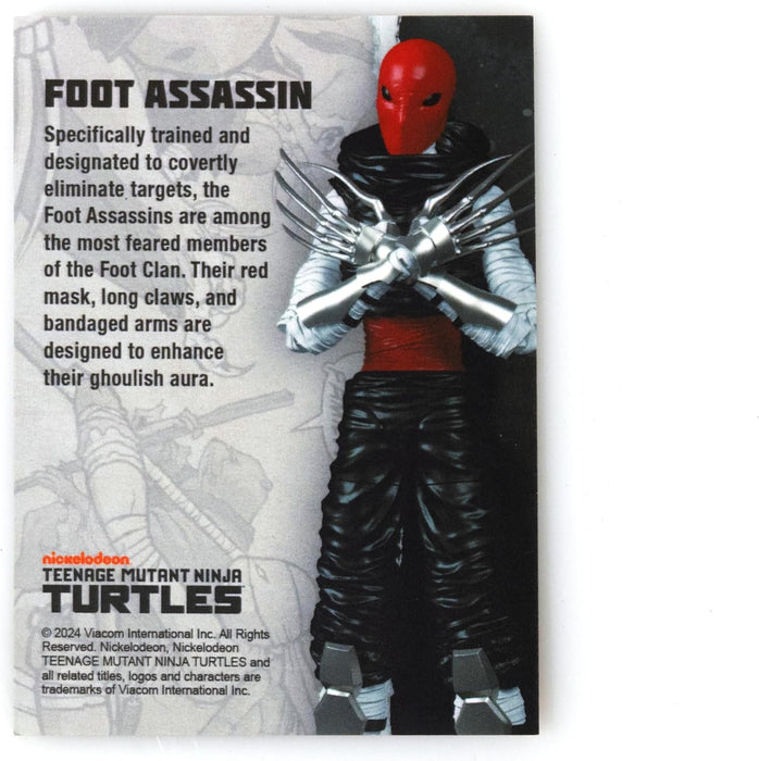 Teenage Mutant Ninja Turtles BST AXN IDW Inspired Foot Assassin 5-inch Action Figure