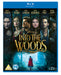 Into the Woods