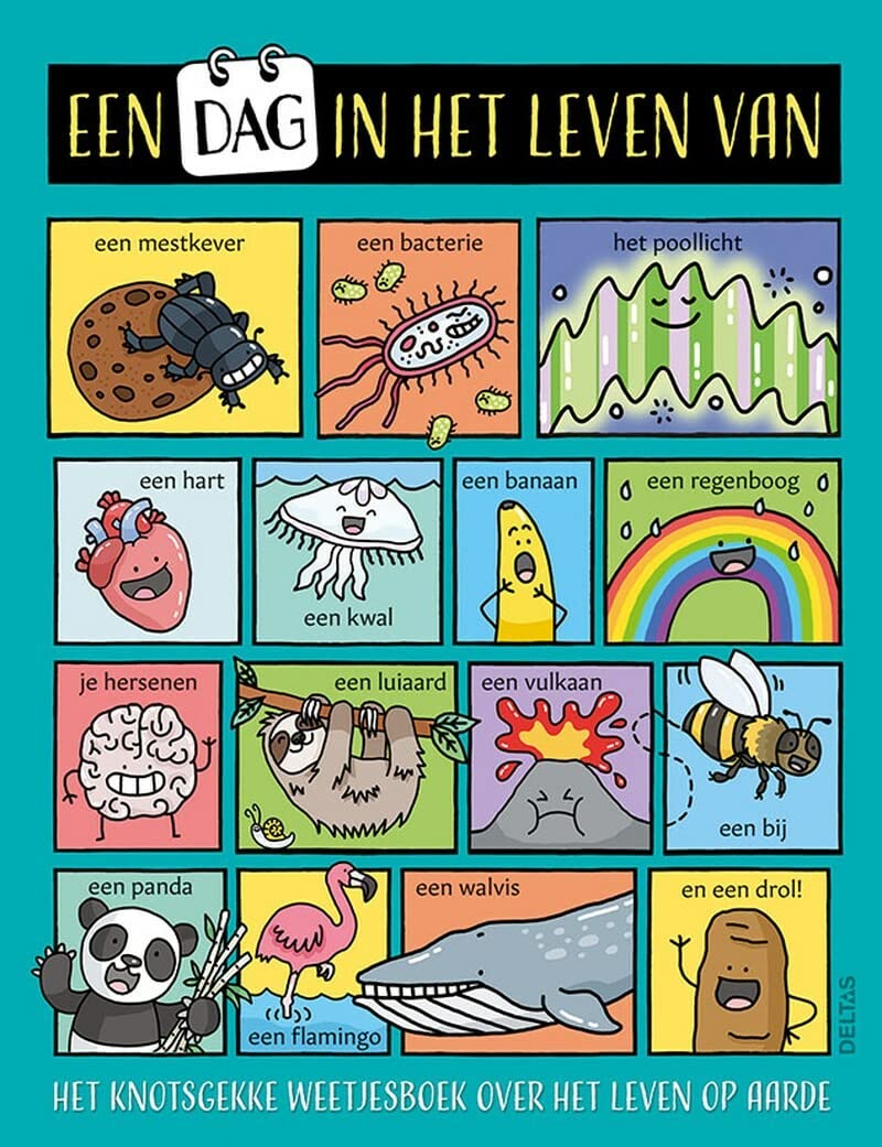 Een dag in het leven van ...: het knotsgekke weetjesboek over het leven op aarde