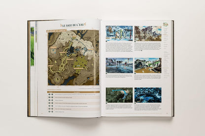 Legend Of Zelda: Tears Of The Kingdom - The Complete Official Guide - Collector`S Edition - Frans - [Dutch Import]