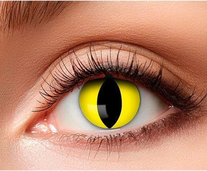 Boland: Pr Week Lenses Creep H
