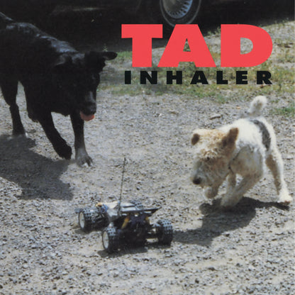 Inhaler