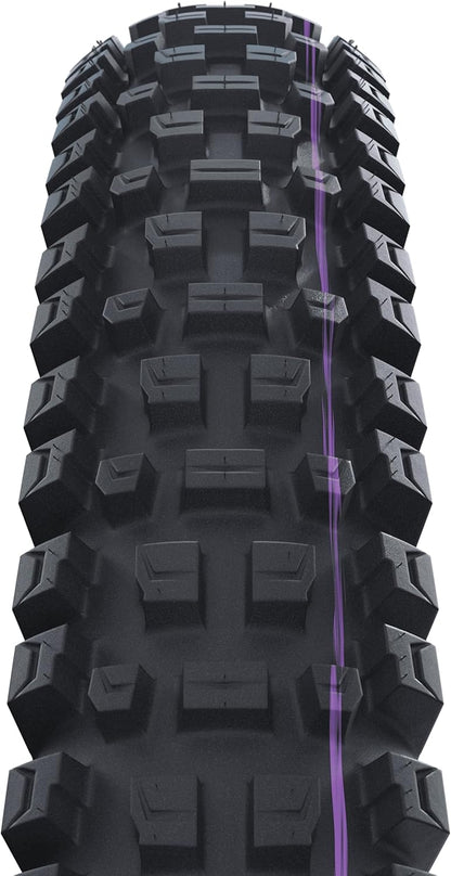 Schwalbe Albert Radial Trail Pro Folding TLE
