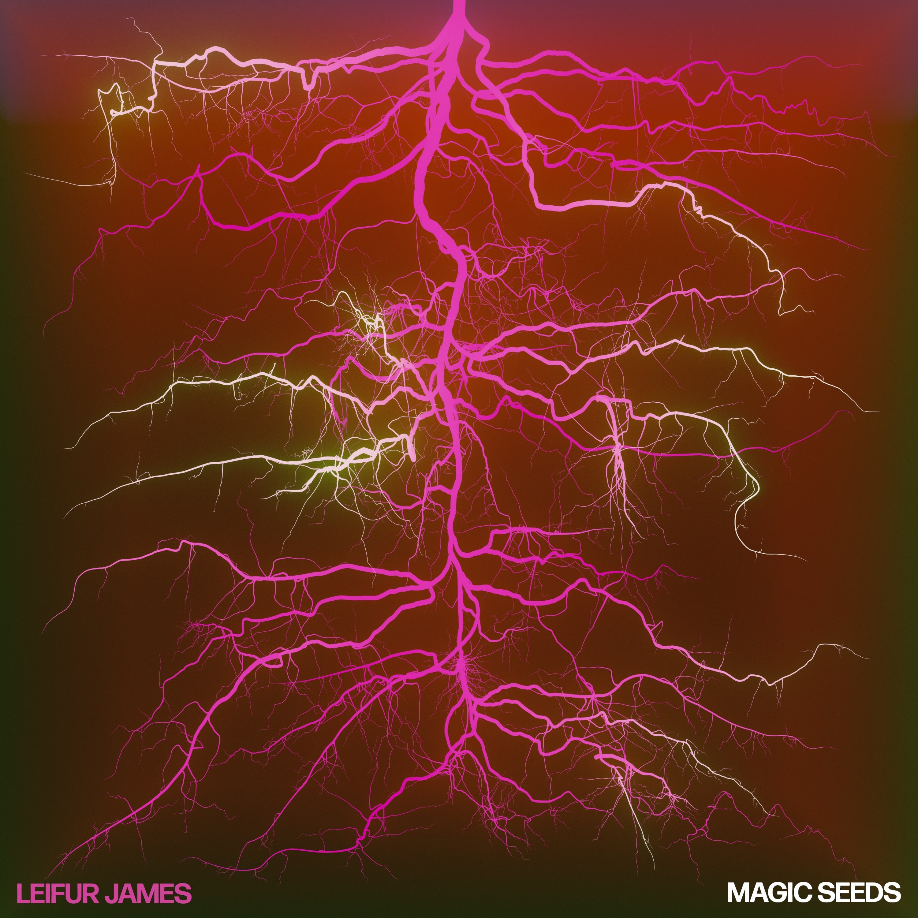 Magic Seeds