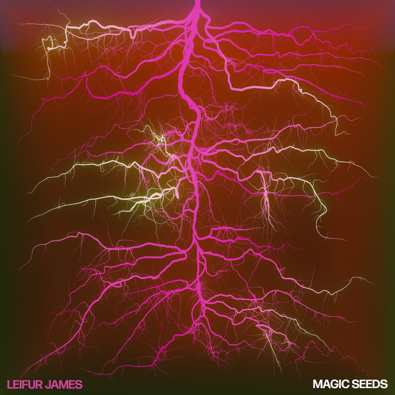 Magic Seeds