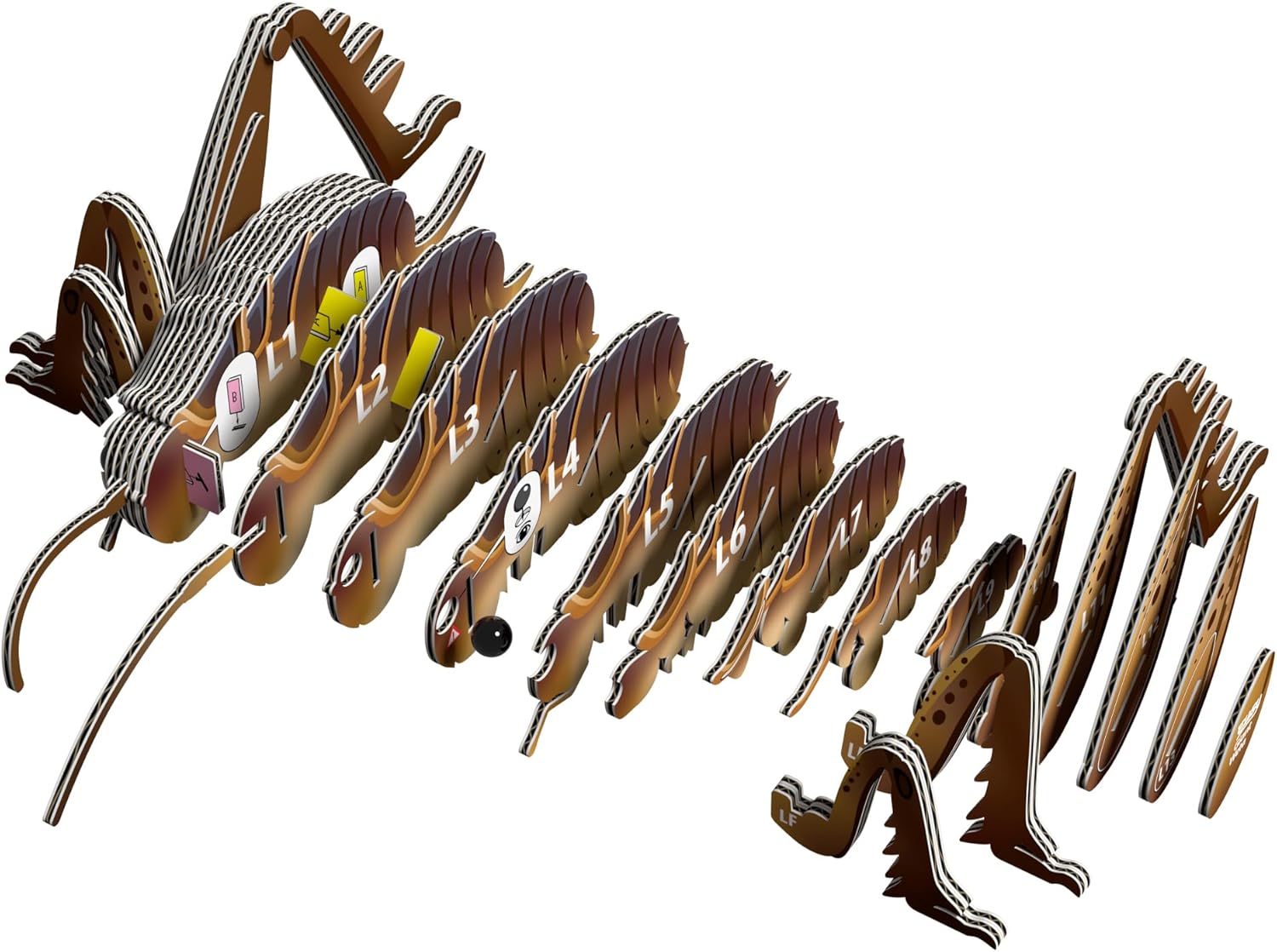 EUGY D5088 Giant Weta 3D Model Craft Kit