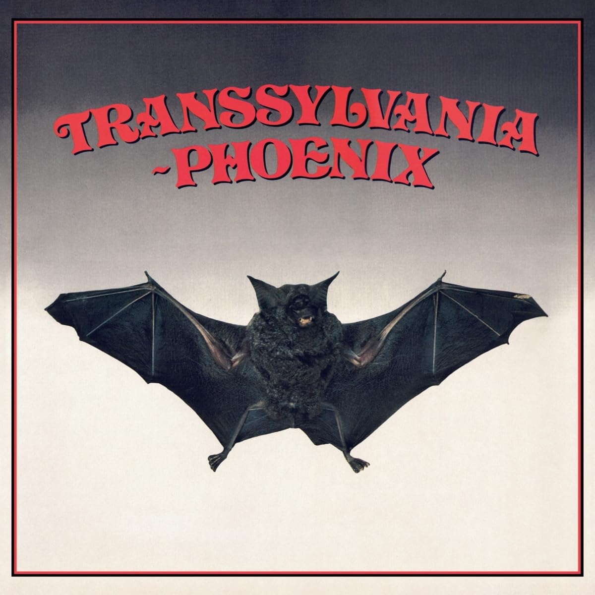 TRANSSYLVANIA-PHOENIX