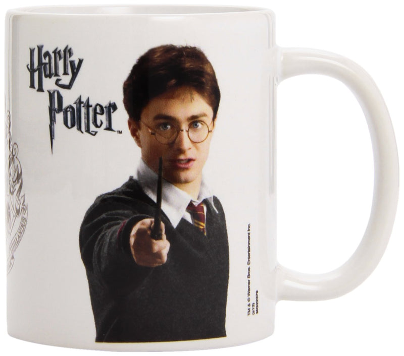 Pyramid International Harry Potter - Taza Harry Potter, 320ml (MG22379