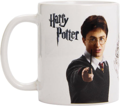 Pyramid International Harry Potter - Taza Harry Potter, 320ml (MG22379