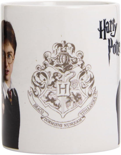 Pyramid International Harry Potter - Taza Harry Potter, 320ml (MG22379